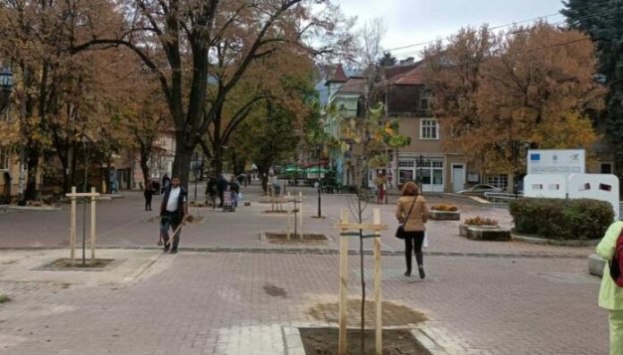 Община Кюстендил стартира кампания по озеленяване