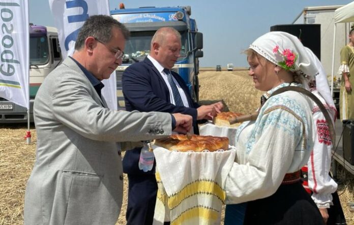 Очакваният добив от пшеница ще бъде около 5.7-5.8 млн. тона