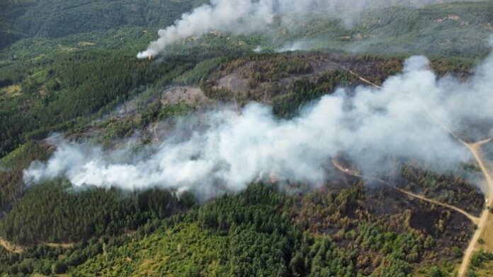 Около 200 пожари са гасили пожарникарите в страната
