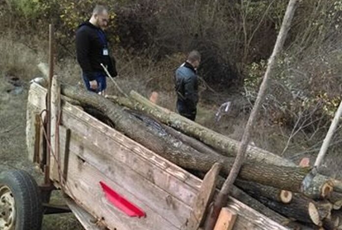 От 50 до 500 лв. глоба за жител на Пиперево