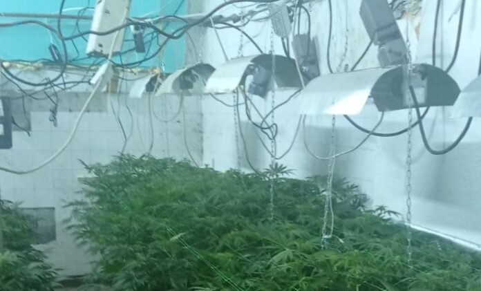 Откриха близо 90 кг дрога в бивша мандра във Ваксево
