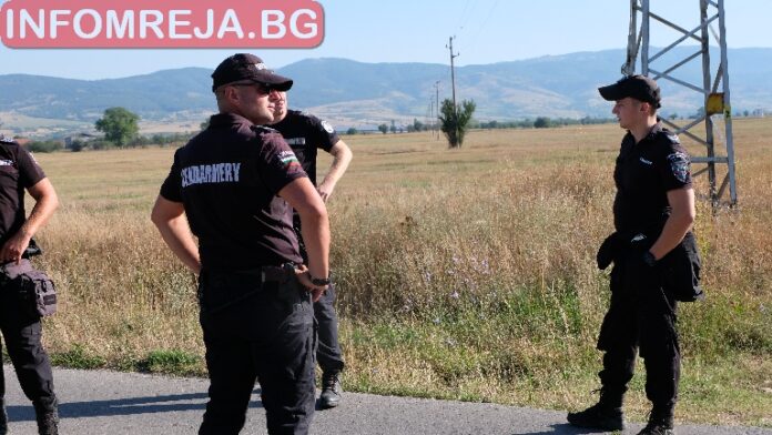 Откриха канабис в Благоевград