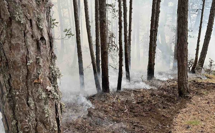 Овладяха пожара край Плоски