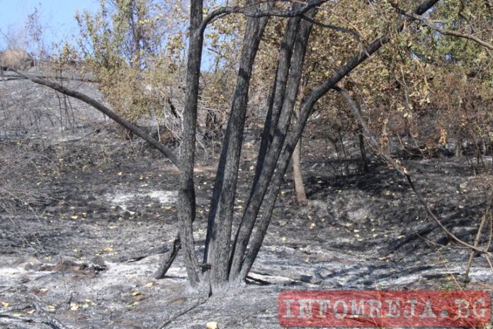 Овладян е пожарът между пернишките села Расник и Вискяр