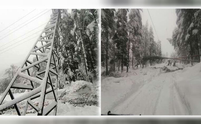 Паднали дървета и непочистени пътища затрудняват отстраняването на авариите в Западна България