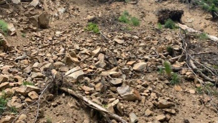 Паднали дървета ограничават движението през прохода 