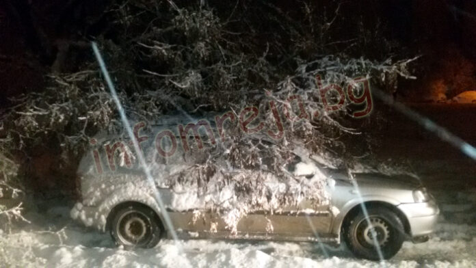 Паднало дърво затвори улица