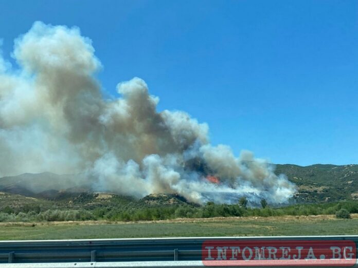 Пламна гората между Микрево и Каменица