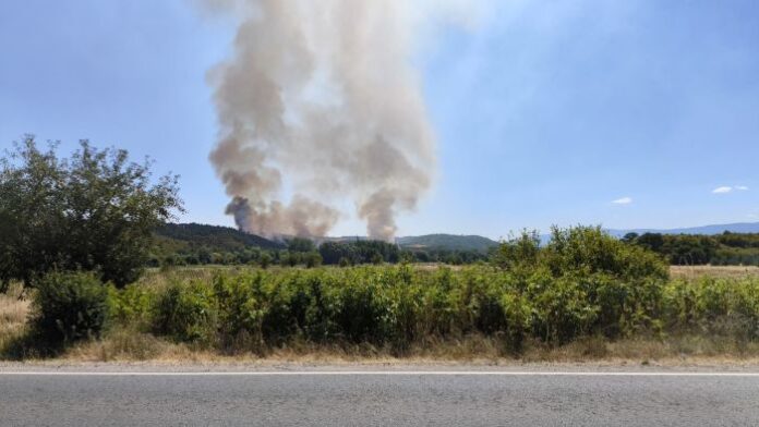 Пламна землището на невестинското село Неделкова Гращица