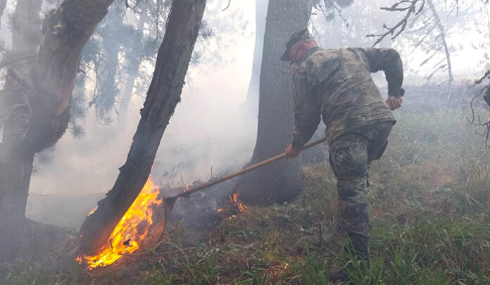 Пламъците в Славянка са на 5 км от Голешево