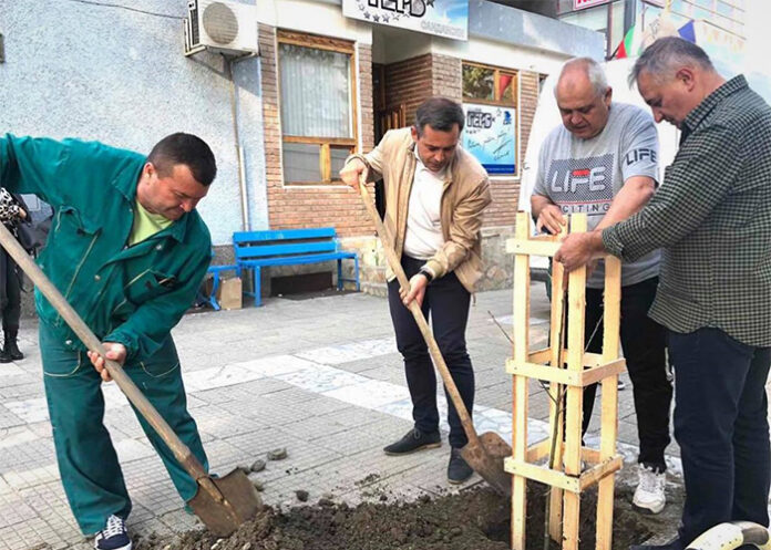 По инициатива на депутата Стоян Стоев бяха засадени повече от 60 дръвчета в община Сандански