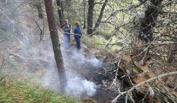 Пожар избухна в природен парк 