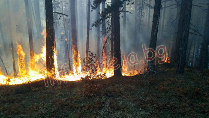 Пожар избухна в Стара планина над Карлово
