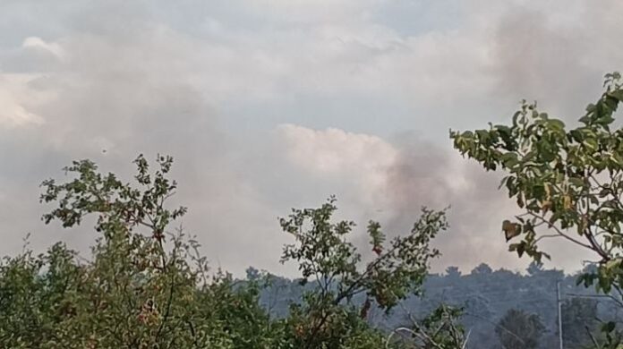 Пожар пламна в гора в Самоковско