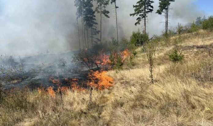 Пожар заплашва село Алино