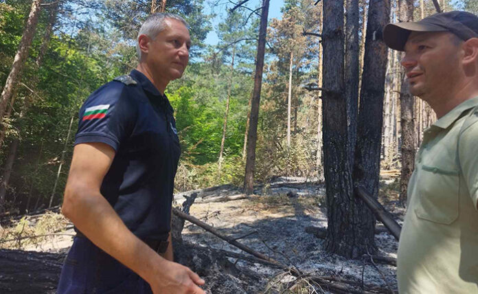 Пожарът край границата с Петрич е ограничен