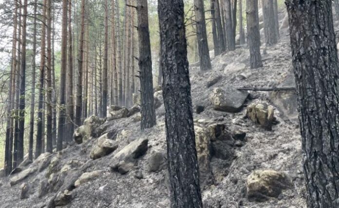 Пожарът над село Сенокос е потушен