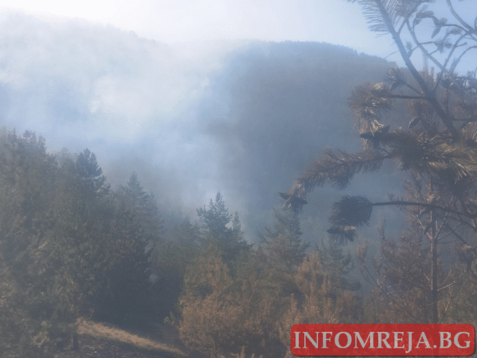 Пожарът при Църварица: Локализиран е от две посоки