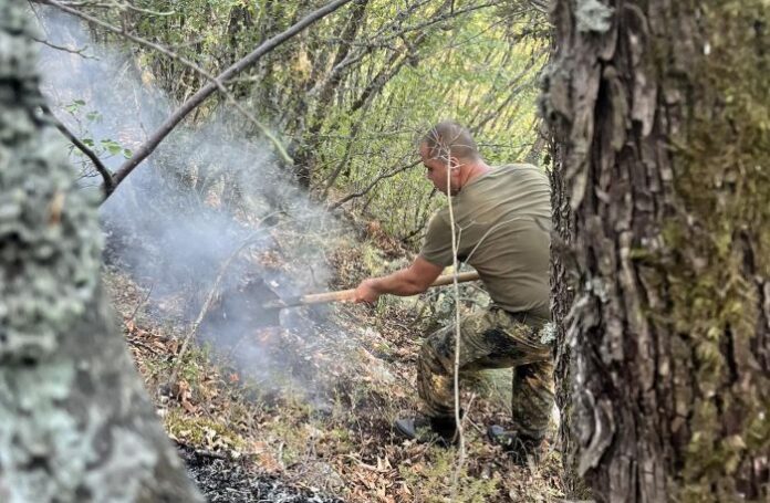 Пожарът при Пастра е локализиран
