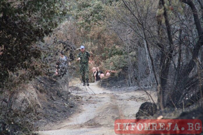 Пожарът в Пирин отново е активен