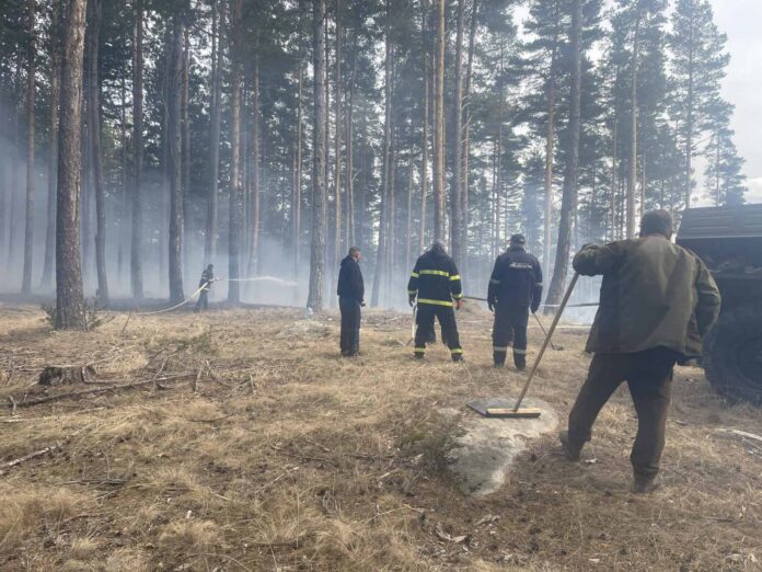 Пожарът в землището на Сатовча е овладян