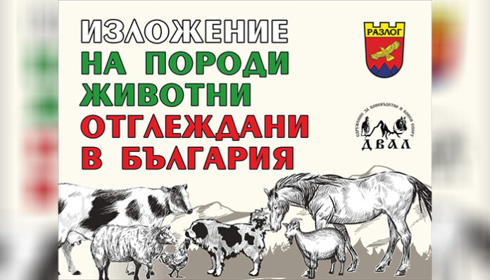 Породисти животни дефилират в Разлог