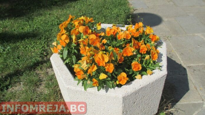 Преди обяд в Западна България - слънчево време