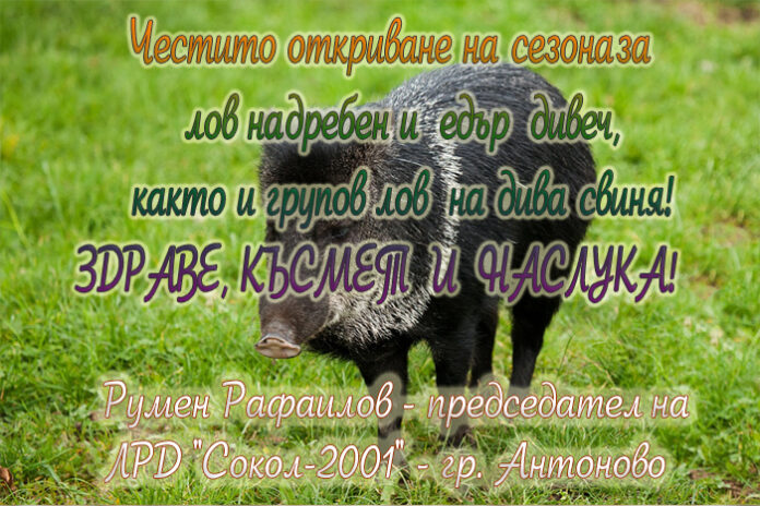 Председателят на ЛРД 