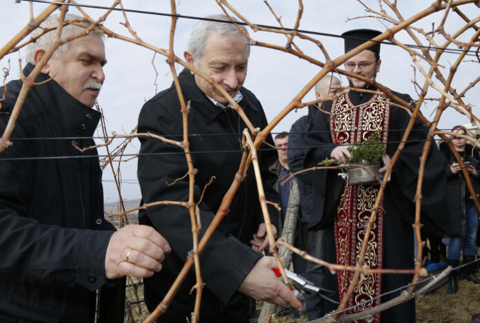 Премиерът заряза лозята в Мелник