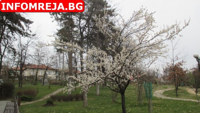 През деня валежите ще спрат