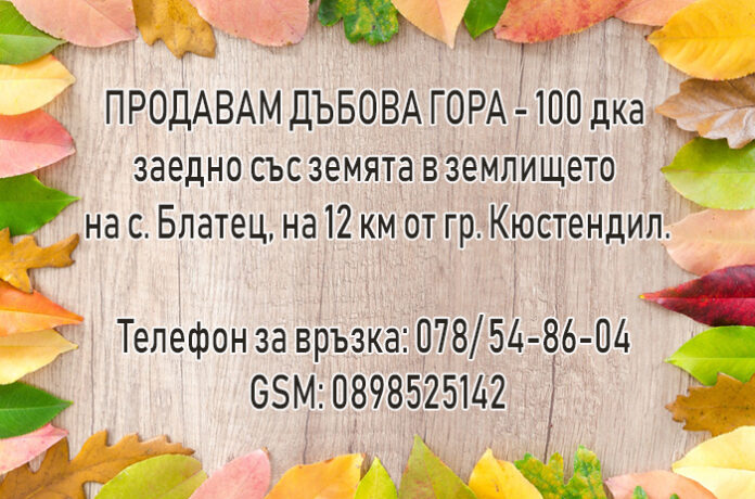 Продават се 100 дка дъбова гора край Кюстендил