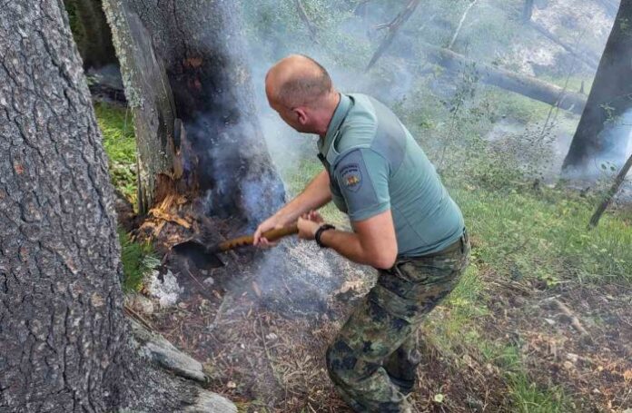 Продължава гасенето на пожара между селата Петрово и Голешово