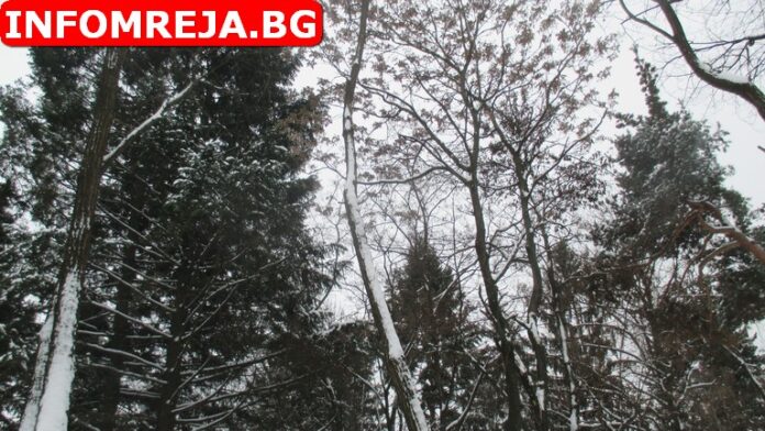 Променлива облачност днес