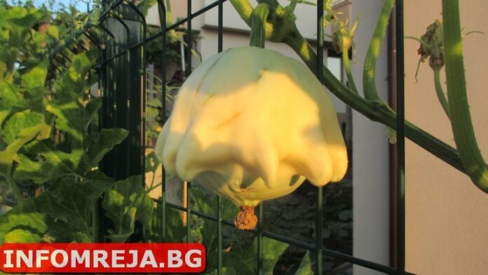 Променлива облачност днес