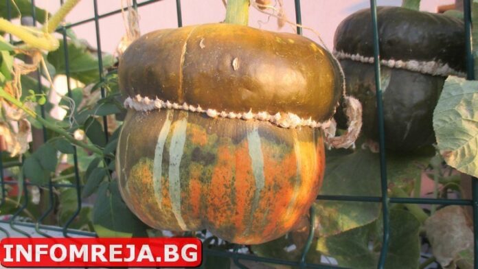 Променлива облачност днес