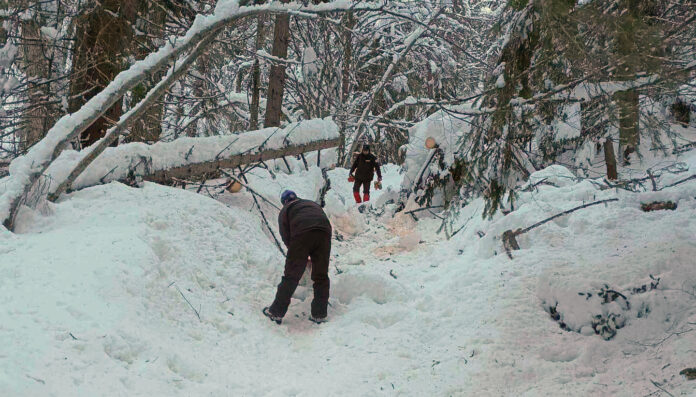Пътеката до хижа 