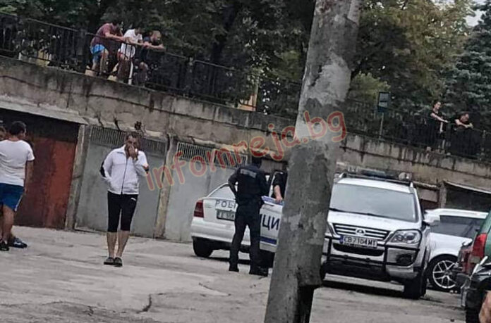Разследват убийството на домашно куче в Благоевград