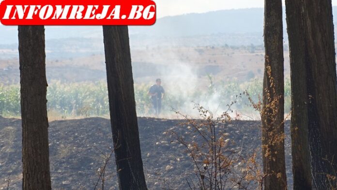 Разследват умишлен палеж на хале в Петрич