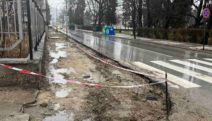 Садят нови дръвчета в Разлог на мястото на стари и опасни