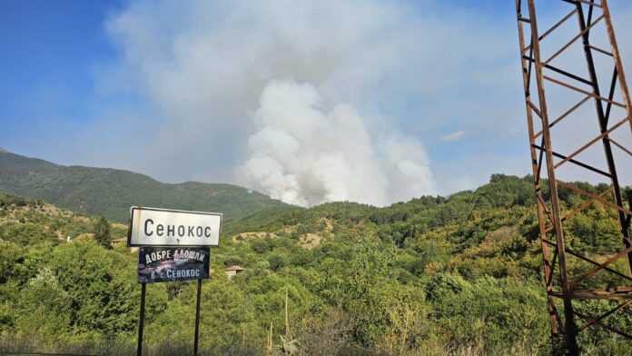 Самолети и хеликоптери гасят Пирин и Славянка и днес