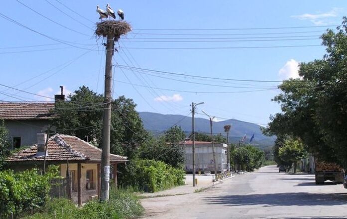 Село Кулата шокирано от смъртта на Камелия Янакиева