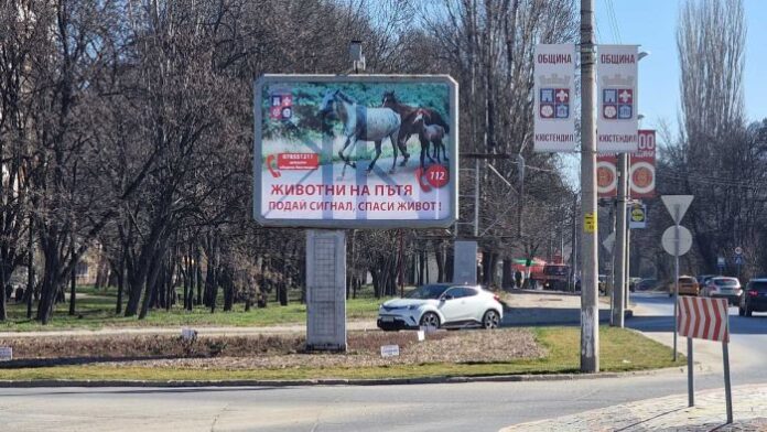 След предложение на съветничката Миркова: Стартира кампания “Животни на пътя! Подай сигнал