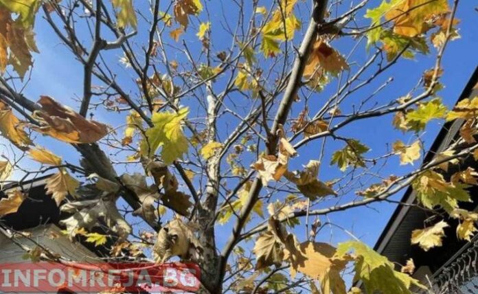 Слънце и вятър в четвъртък