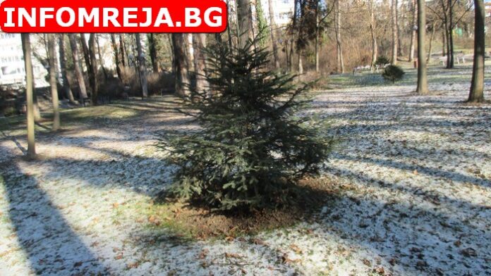 Слънчев декемврийски ден