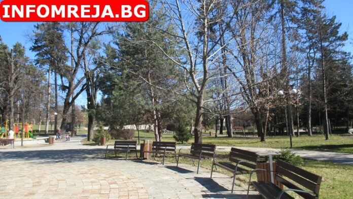 Слънчева неделя
