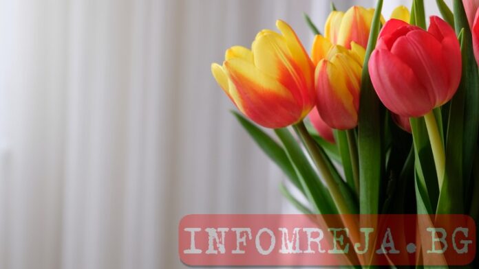 Слънчева неделя с температури до 23°
