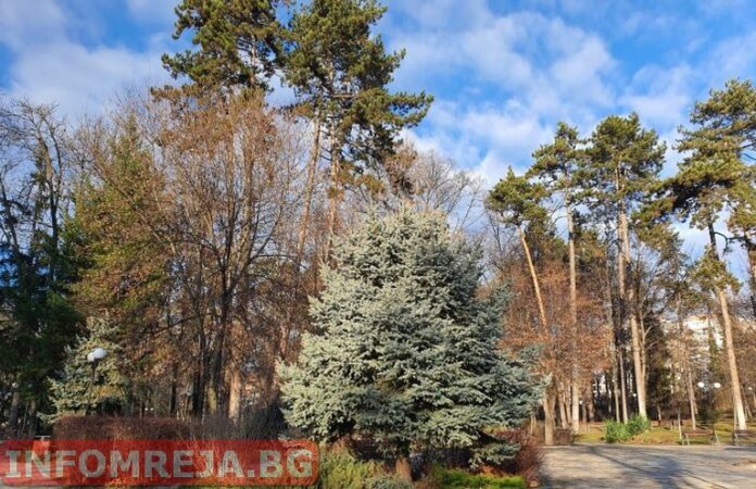 Слънчево начало на новата седмица