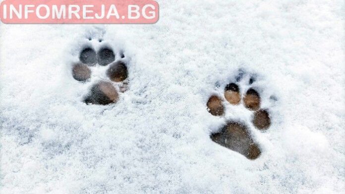 Слънчево време днес