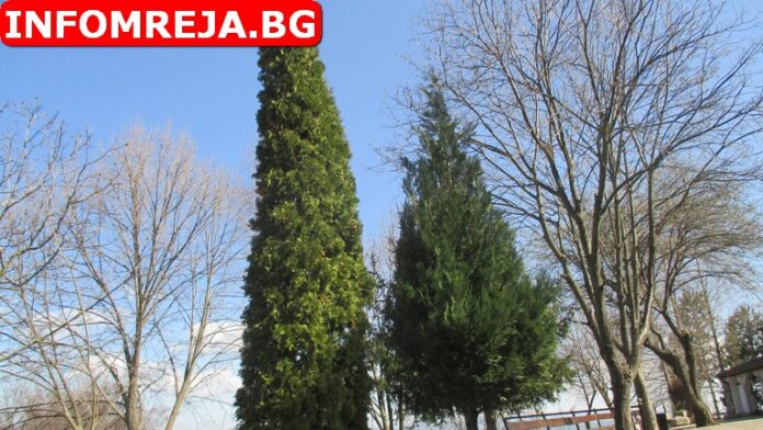Слънчево време днес