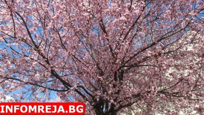 Слънчево време днес